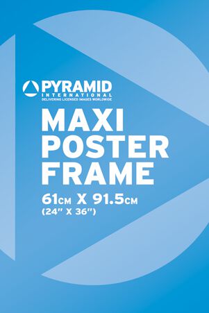 Marco Maxi Poster Plata 61X91.5Cm